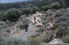 IMG91791200